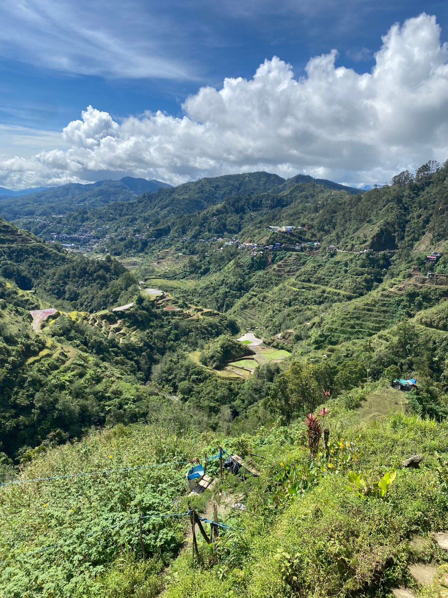 优雅米绿景小屋-官方