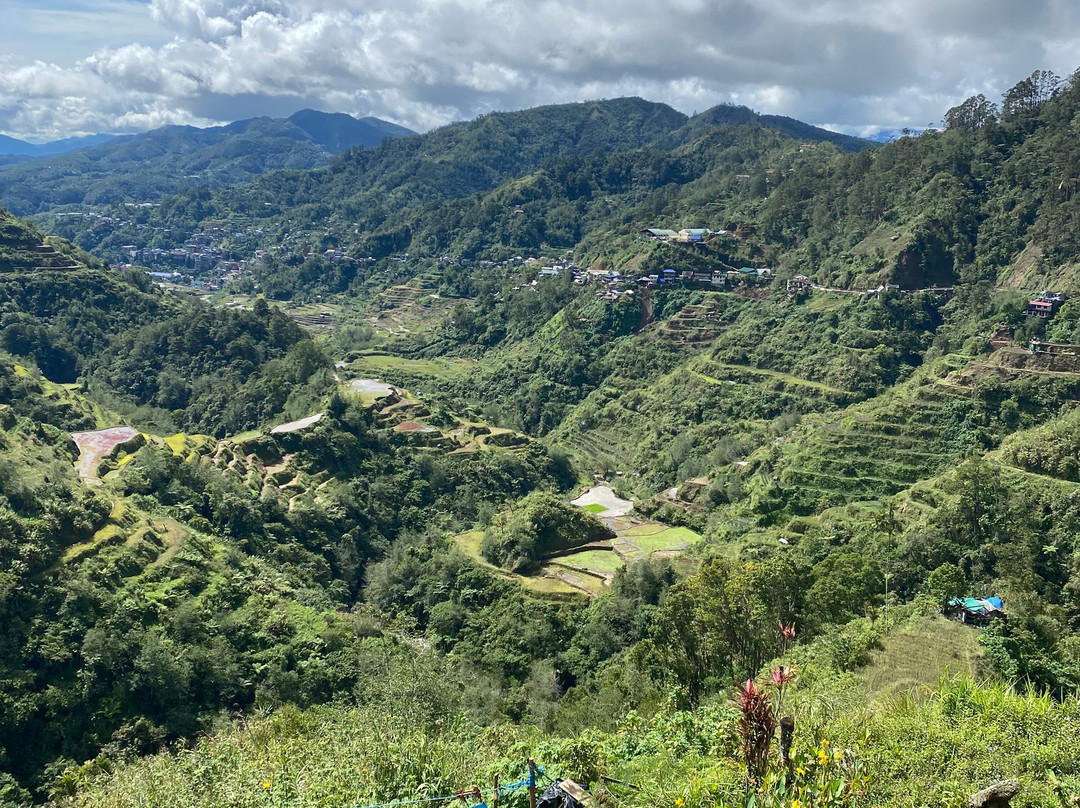 优雅米绿景小屋主图