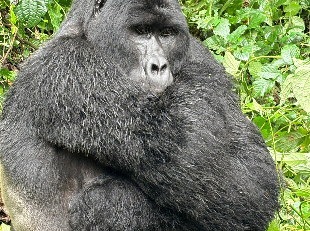 Native Africa Tours-坎帕拉必去景点