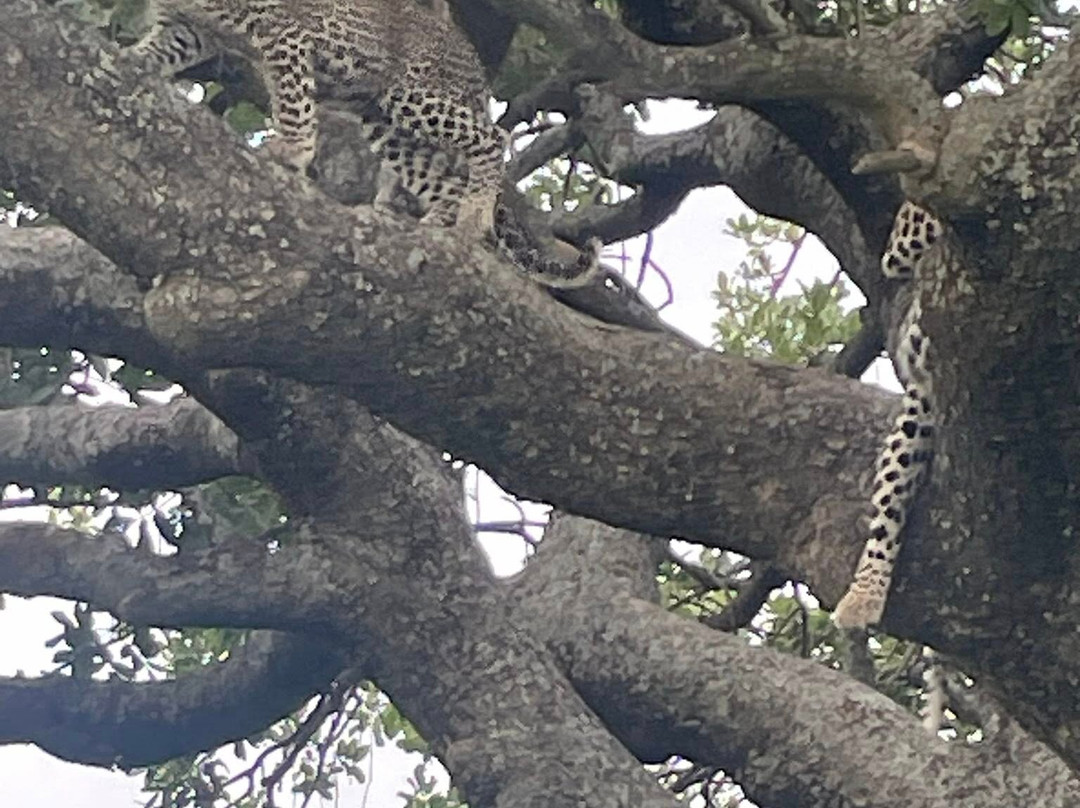 Time For African Adventures-阿鲁沙必去景点