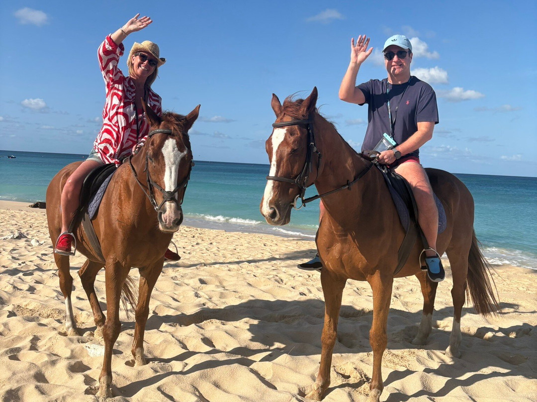 Sandy Turf Stables Barbados-Frere Pilgrim必去景点