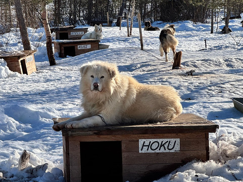 Primitif Aventure-伊瓦洛必去景点