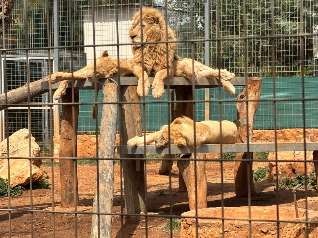 Pafos Zoo-帕福斯必去景点