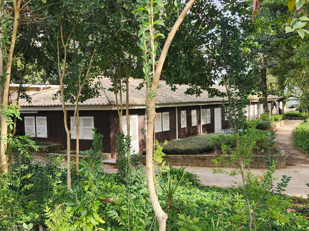 Marechal Carmona Park-卡斯凯什必去景点