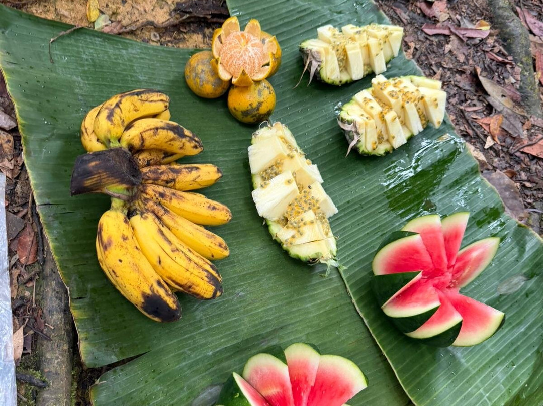 Trek of Sumatra-武吉拉旺必去景点
