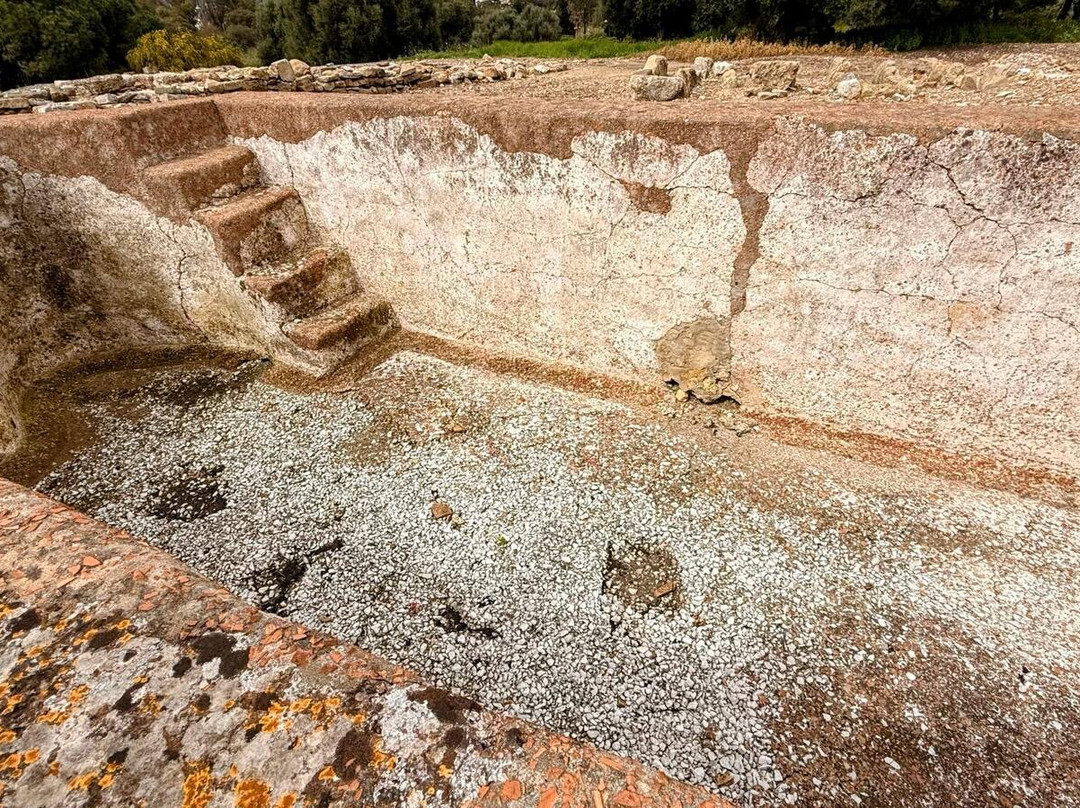 Enclave Arqueologico de Carteia-San Roque必去景点