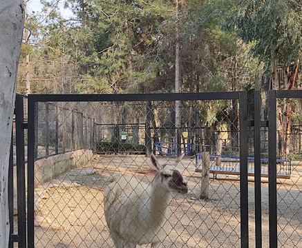 Tarsus Hayvan Parkı-Tarsus必去景点