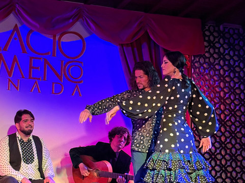Palacio Flamenco Granada-格拉纳达必去景点