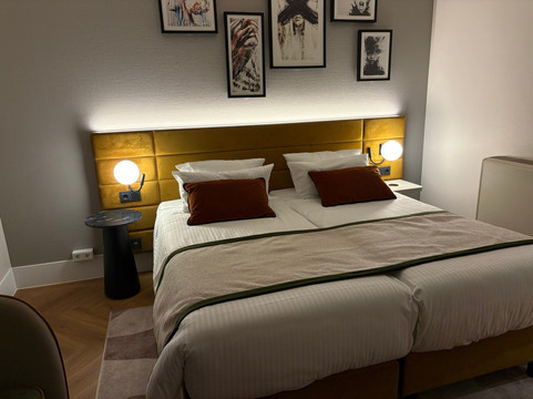 美因茨莱昂纳多酒店主图