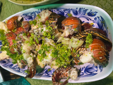 Flying Ginny Catamaran Charter-埃尔波韦尼尔必去景点