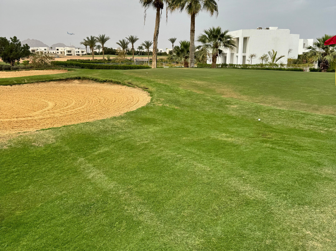 Pickalbatros Golf Course-沙姆沙伊赫必去景点