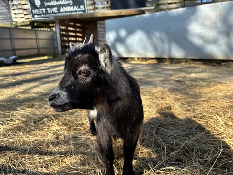 Blackwell Mill Cycle Hire-巴克斯顿必去景点
