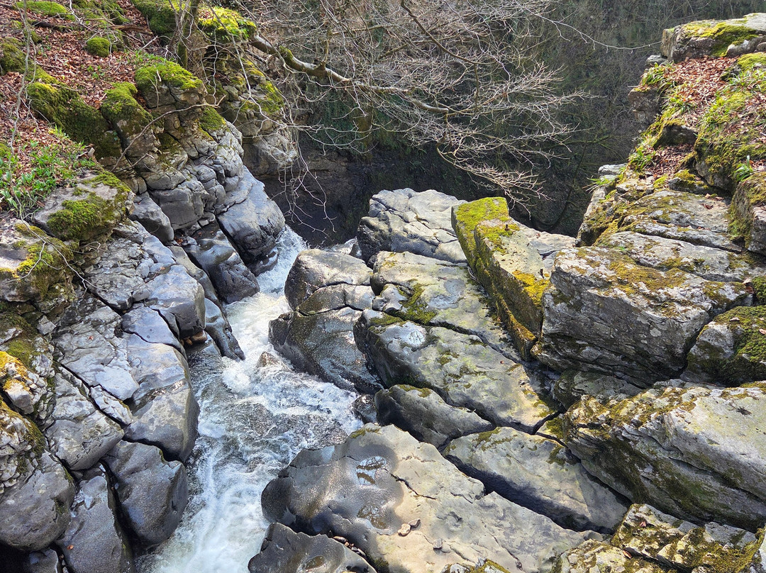 史托之家酒店主图