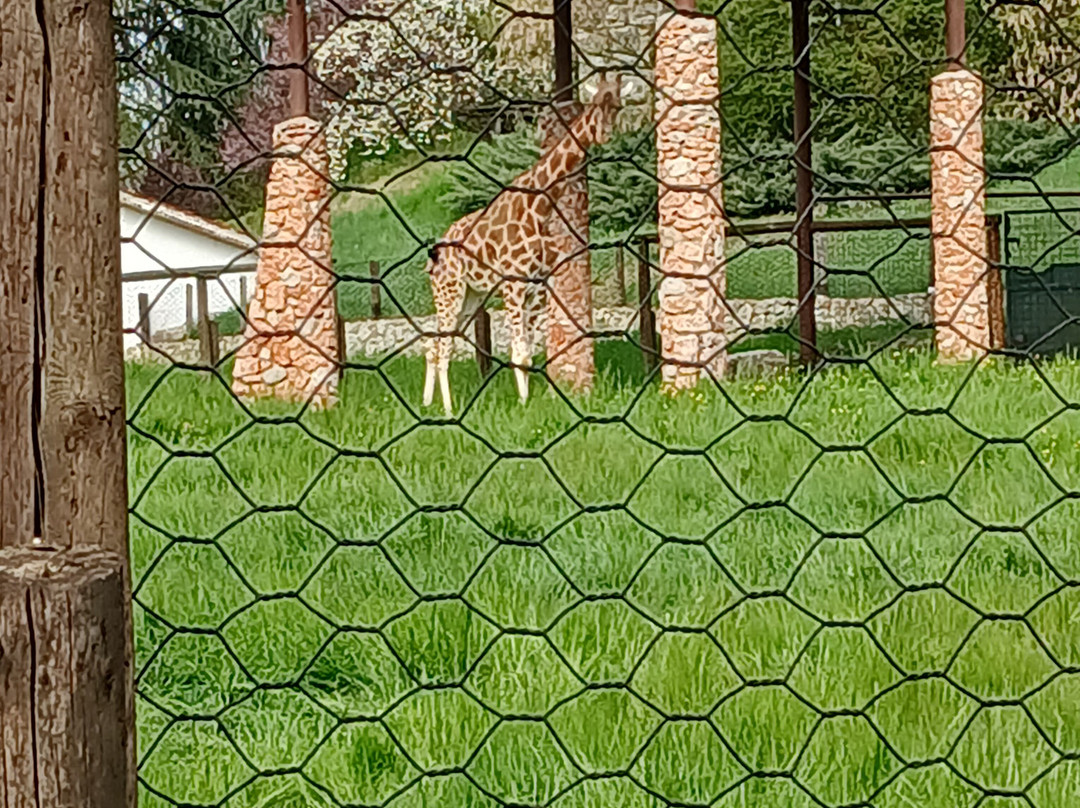 Parco Faunistico Valcorba-Pozzonovo必去景点