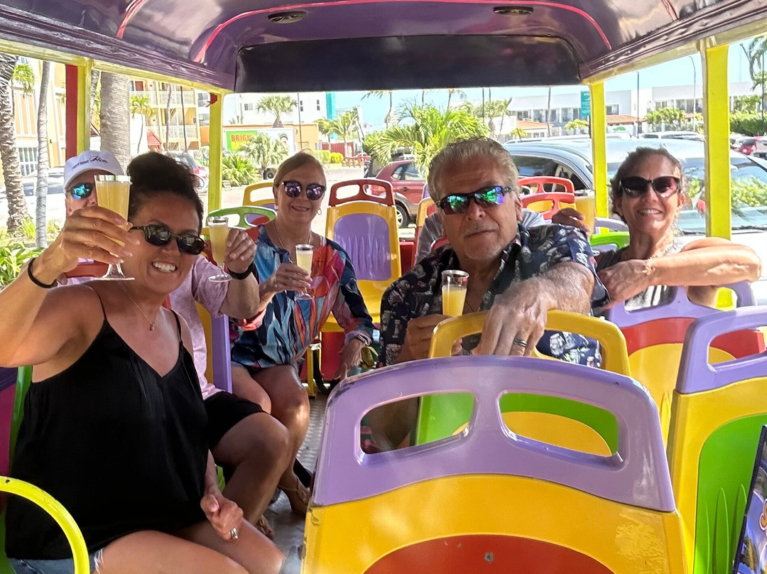 One love Aruba Tours-奥腊涅斯塔德必去景点