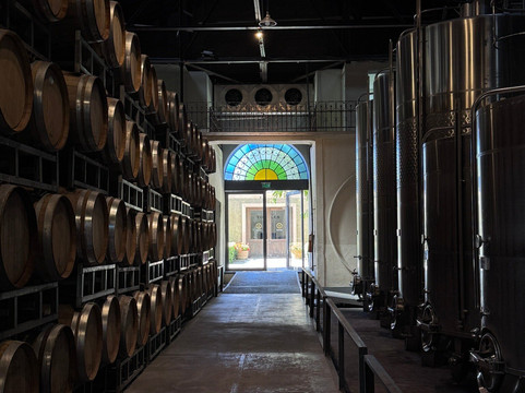 Bodega Los Toneles-门多萨必去景点