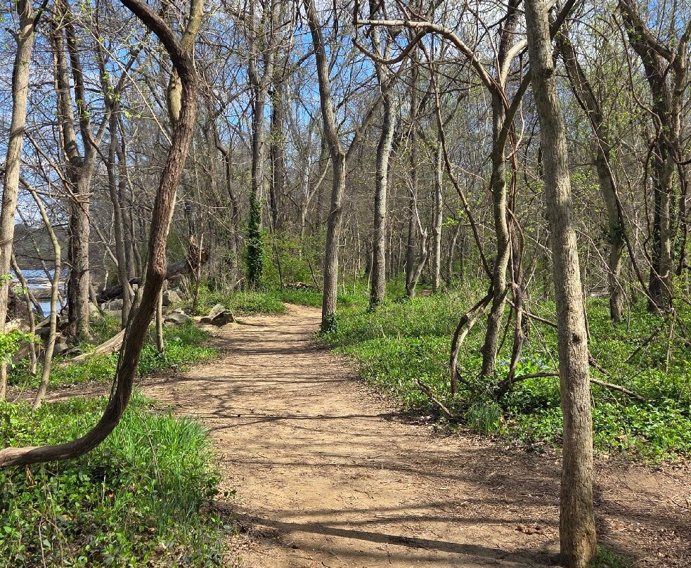 Pony Pasture Park (James River Park System)-里士满必去景点