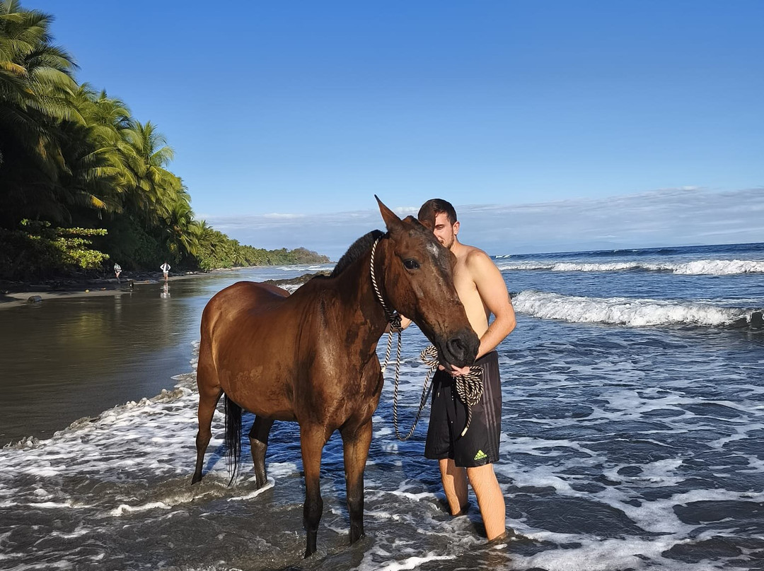 Refugio Nacional Mixto de Vida Silvestre Romelia-蒙特祖玛必去景点