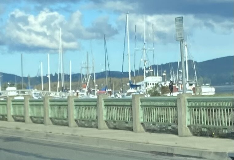 Coos Bay Boardwalk-库斯贝必去景点
