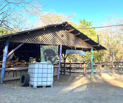 The Monkey Farm-Playa Ocotal必去景点