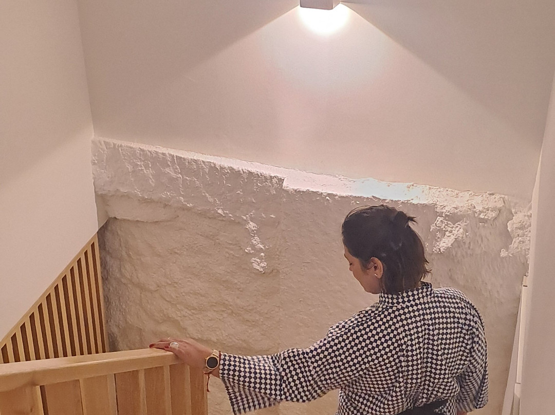 Viseu Ryokan ヴィゼウ 旅館 - Hospedaria Japonesa & SPA主图