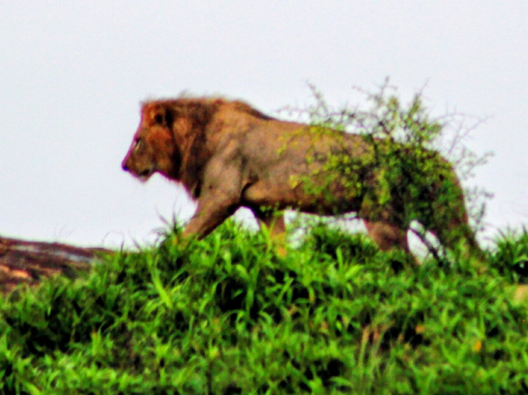 Dida Tours and Safaris-山祖必去景点