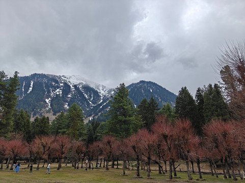 Endless Tour and Travels-帕哈甘必去景点