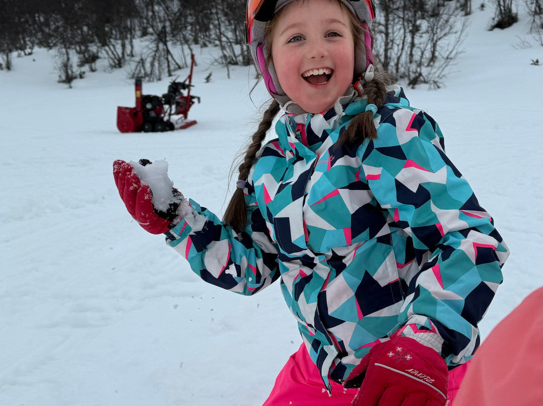 Beitostølen Aktiv & Skiskole-Beitostolen必去景点