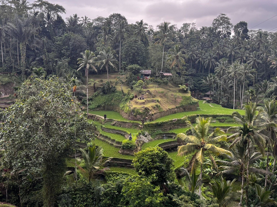 Bali Guia en Espanol-Mas必去景点