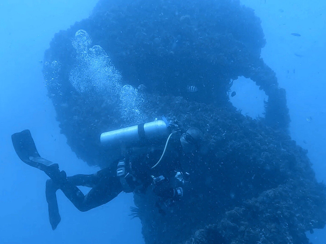 Gold Coast Dive Adventures-Runaway Bay必去景点