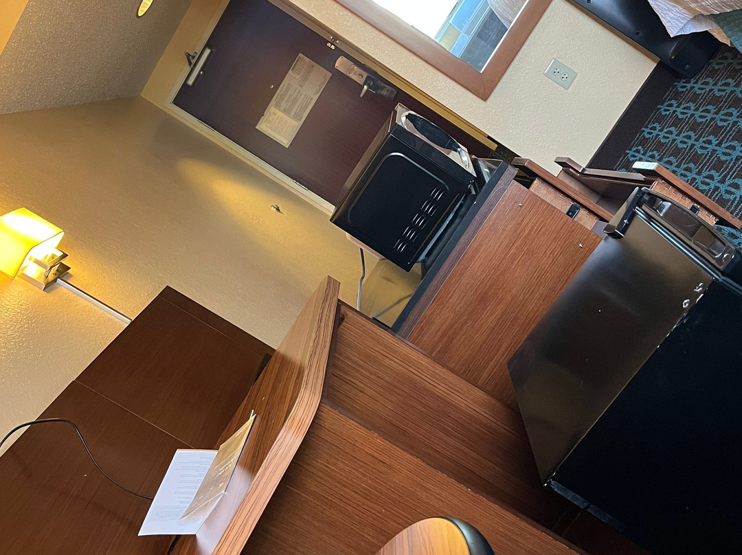 坦帕布兰登万枫酒店及套房主图