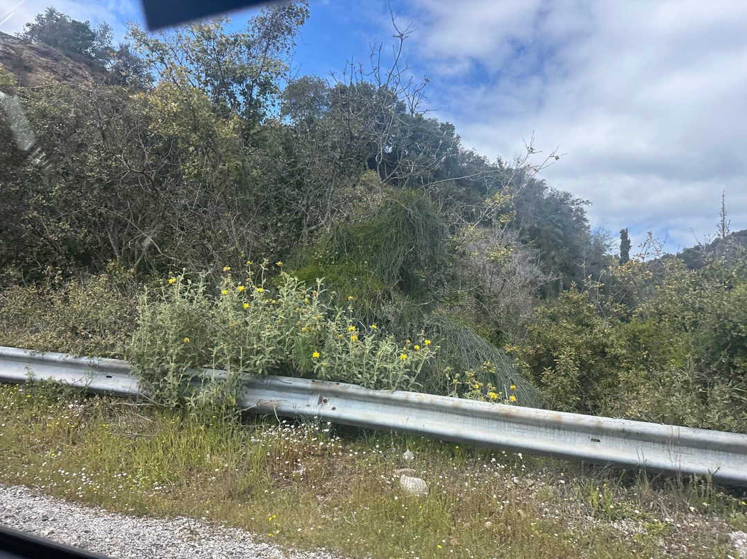 3T Transfers Travel Tours-纳夫普利翁必去景点