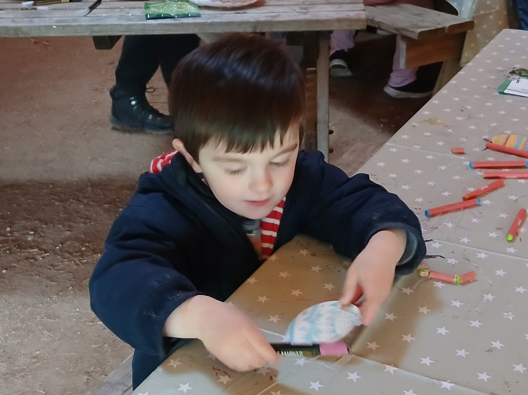 Wyvernwood-Alresford必去景点