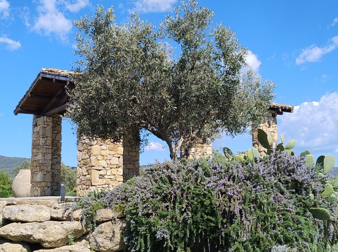 Olianas-Gergei必去景点