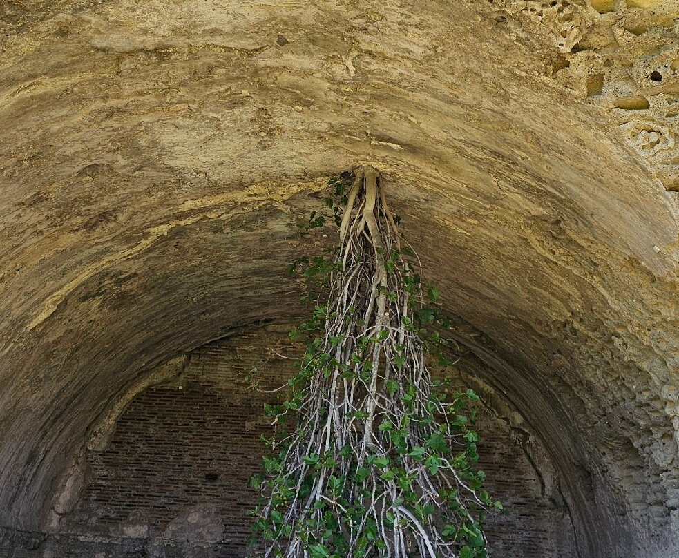 Parco Archeologico delle Terme di Baia-Bacoli必去景点