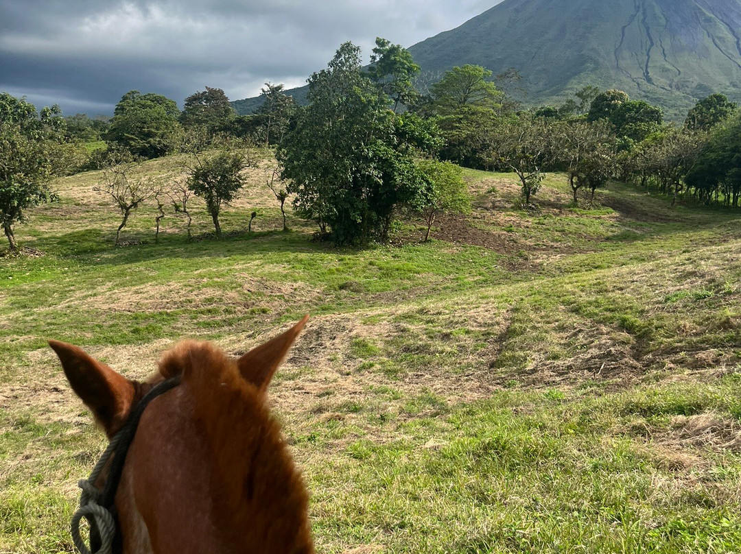 Cabalgata Don Tobias-福德圣卡洛斯必去景点