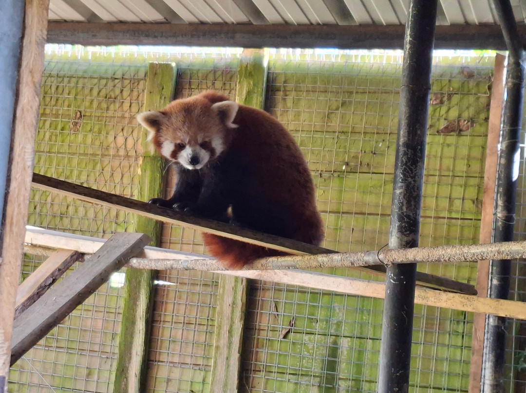 Parc Zoologique Cerza-Hermival-les-Vaux必去景点