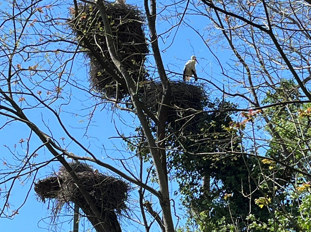 Domaine des Oiseaux-Mazeres必去景点