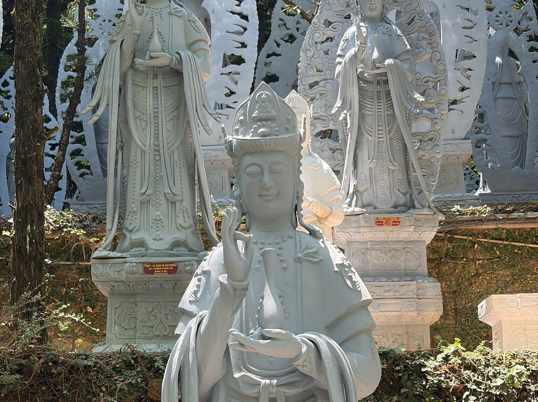 Mr. Peace's Tour Dalat-大勒必去景点