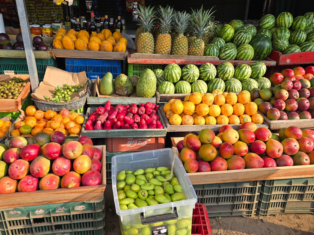 Tiquicia Tours-彭塔雷纳斯必去景点