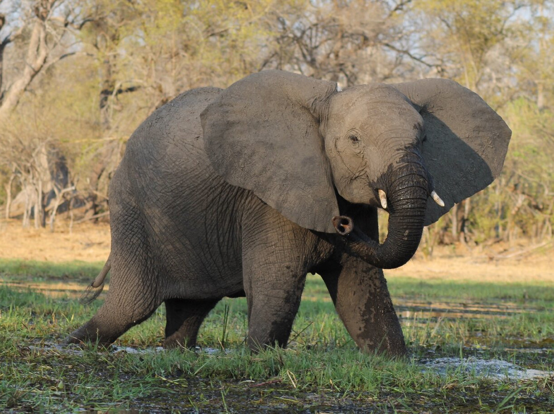 African Overland Tours-开普敦中心区必去景点