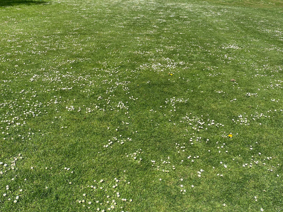 Garden Golf de Cergy Pontoise-Vaureal必去景点