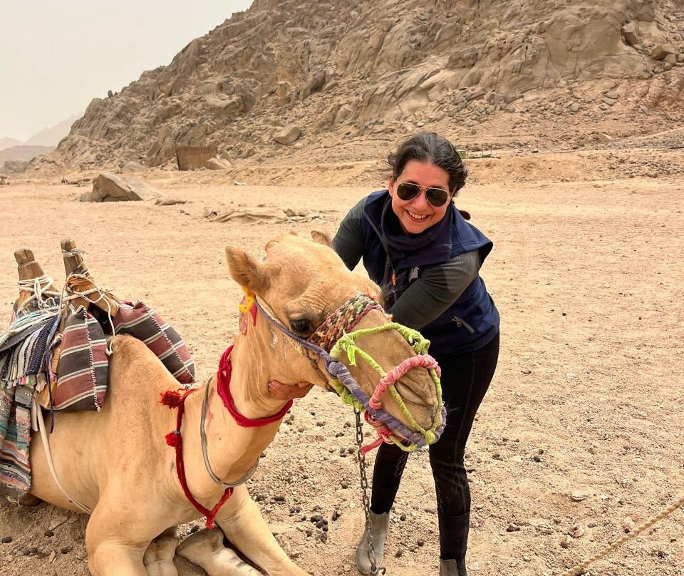 Equestrian Dream Egypt-赫尔格达必去景点