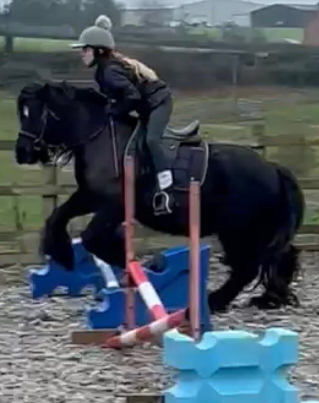 Charnwood Forest Alpacas-Boundary必去景点
