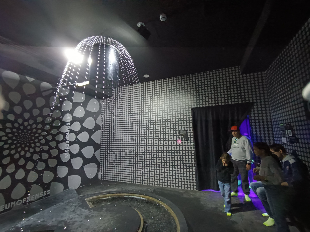 Museum of Senses Milano