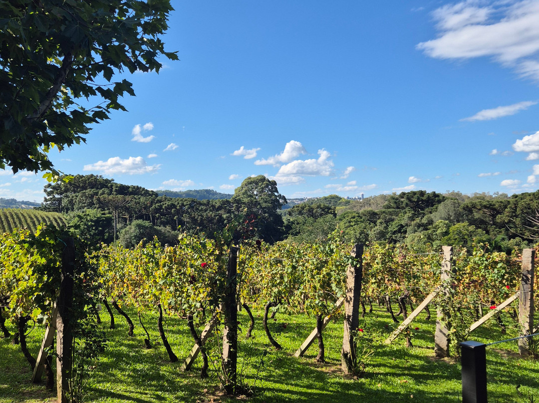 Vinhos Larentis-本图贡萨尔维斯必去景点
