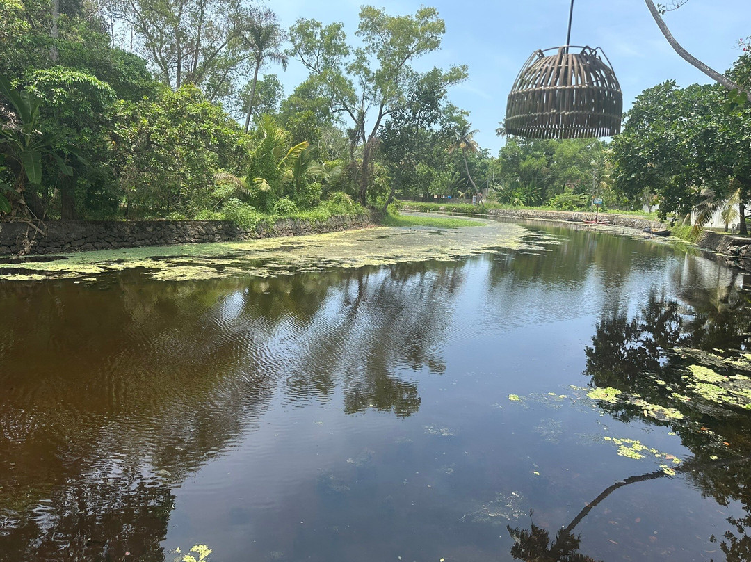 火烈鸟精品别墅主图