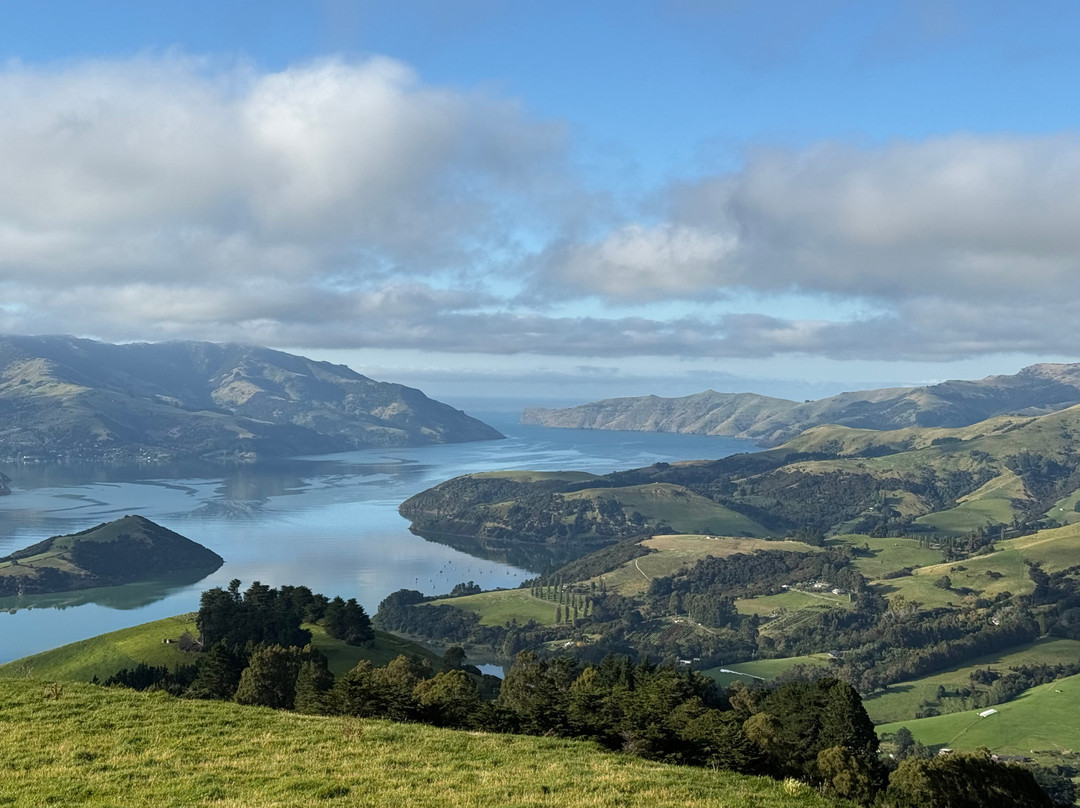 ZigZag Tours NZ-新普利默斯必去景点