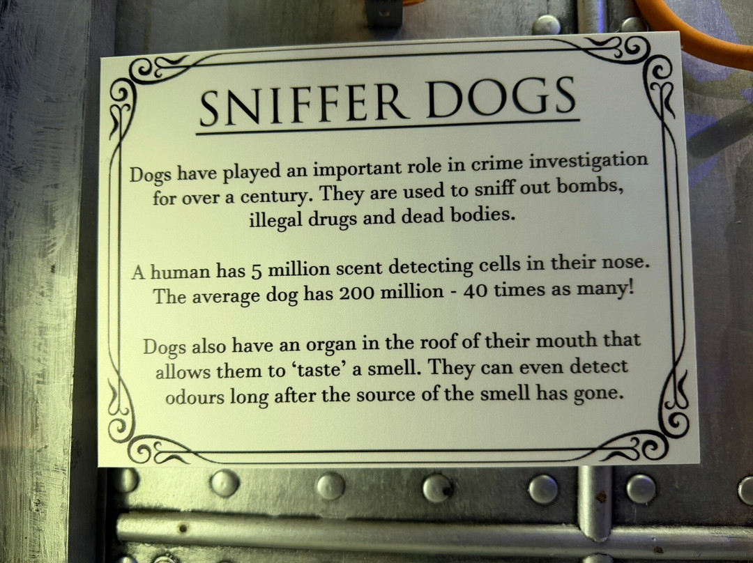 The True CRIME Museum-海斯廷斯必去景点