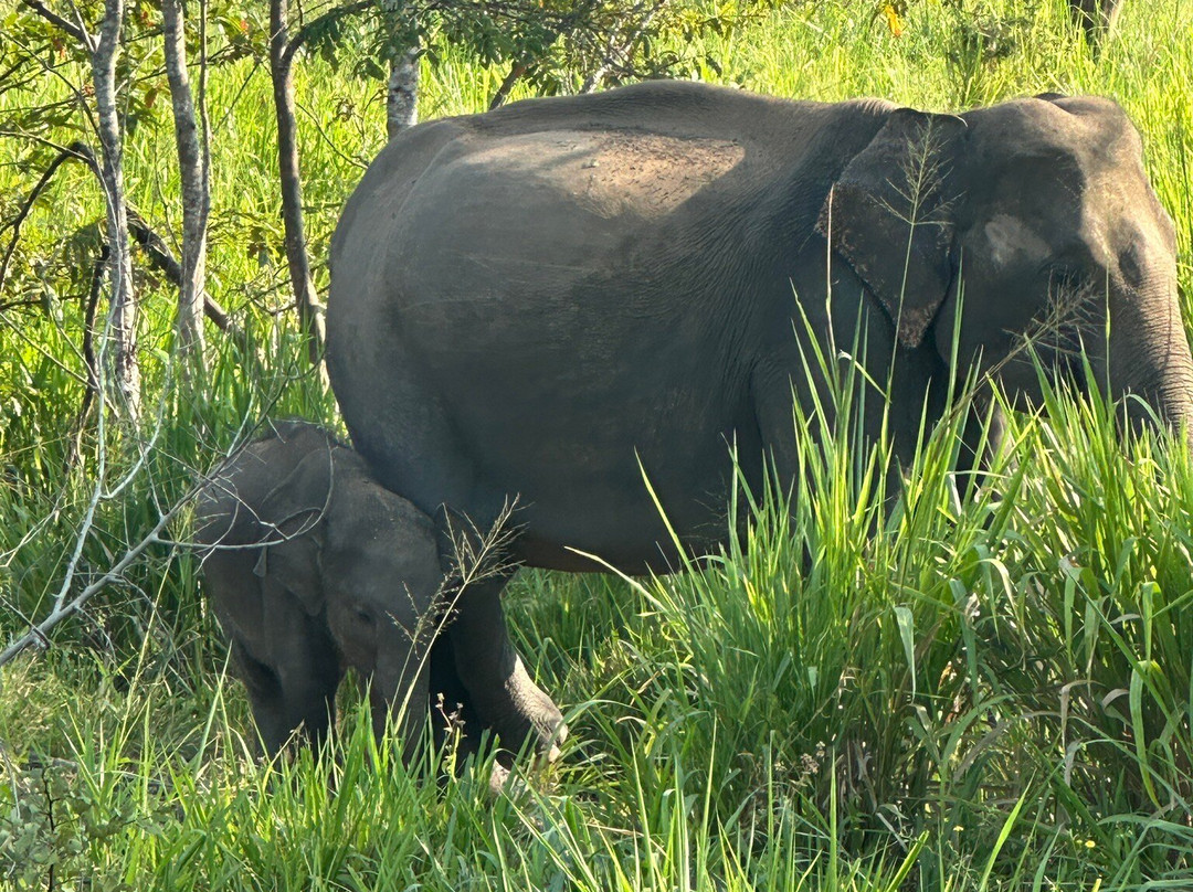 Wetour Sri Lanka-Kekirawa必去景点